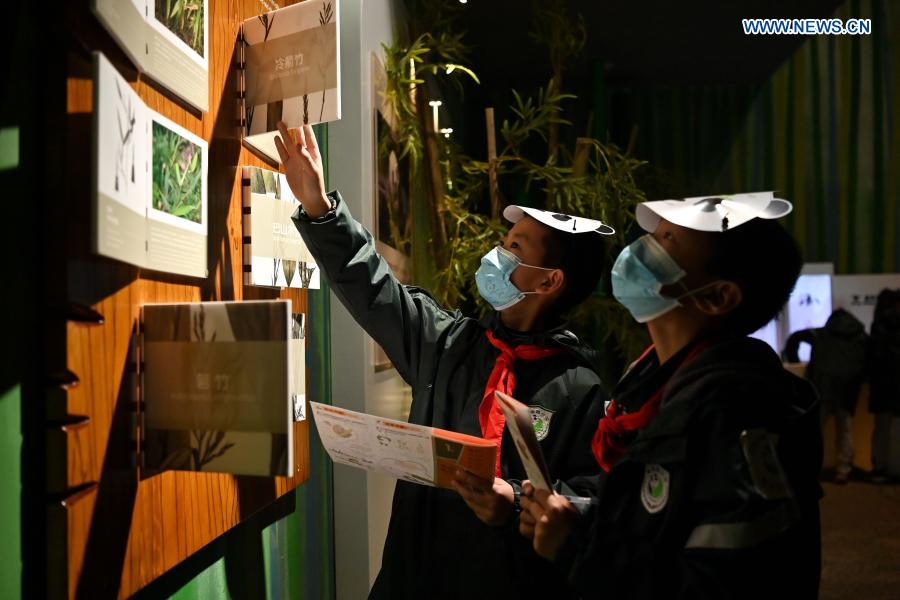 Students visit the Chengdu Giant Panda Museum in Chengdu, southwest China's Sichuan Province, March 3, 2021. A giant panda-themed museum offering visitors an interactive experience opened to the public on Wednesday in Chengdu, capital of Sichuan Province. Surrounded by huge walls of touch-sensitive screens and meticulously-designed settings, the Chengdu Giant Panda Museum provides an immersive experience while demonstrating various interesting facts about the precious species as well as its history, habits and China's panda preservation efforts. The museum spanning an area of 7,179 square meters with seven exhibit sections, has been built by the Chengdu Research Base of Giant Panda Breeding. (Xinhua/Xu Bingjie)