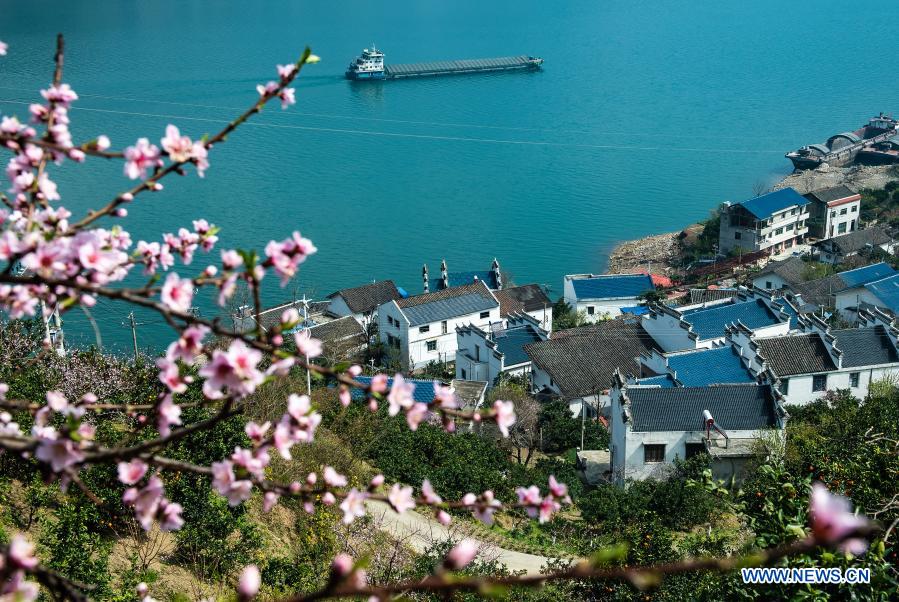 Photo taken on March 3, 2021 shows scenery along the section of Yangtze River in Zigui County, central China's Hubei Province. (Photo by Zheng Jiayu/Xinhua)