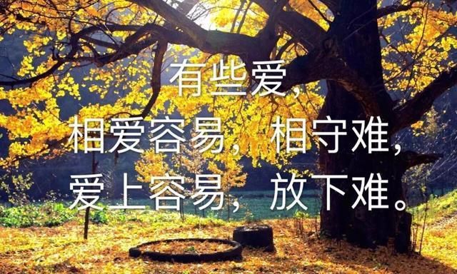 心情不好的句子发朋友圈适合心情低落的朋友圈句子配图
