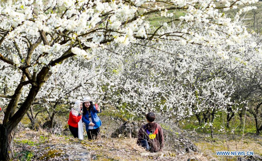 People view the early spring scenery at Yinhe Village of Yubei District, southwest China's Chongqing, March 4, 2021. (Xinhua/Liu Chan)