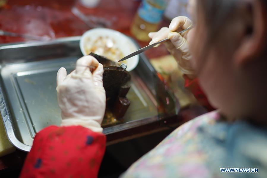 A worker inserts a nucleus into a mussel to form a pearl in a cultivation base in Tajiang Village of Wannian County, east China's Jiangxi Province, March 3, 2021. In Wannian County, there are about 3,000 women working in pearl cultivation industry. Many of them once lived in poor households, and took up their posts after free training. Nowadays, their per capita income has increased by 70,000 to 80,000 yuan (about 10,822 to 12,368 U.S. dollars) each year. (Xinhua/Zhou Mi)