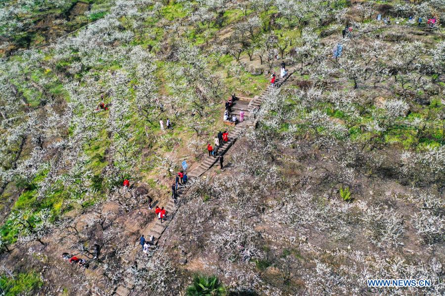 Aerial photo taken on March 4, 2021 shows people view the early spring scenery at Yinhe Village of Yubei District, southwest China's Chongqing. (Xinhua/Liu Chan)