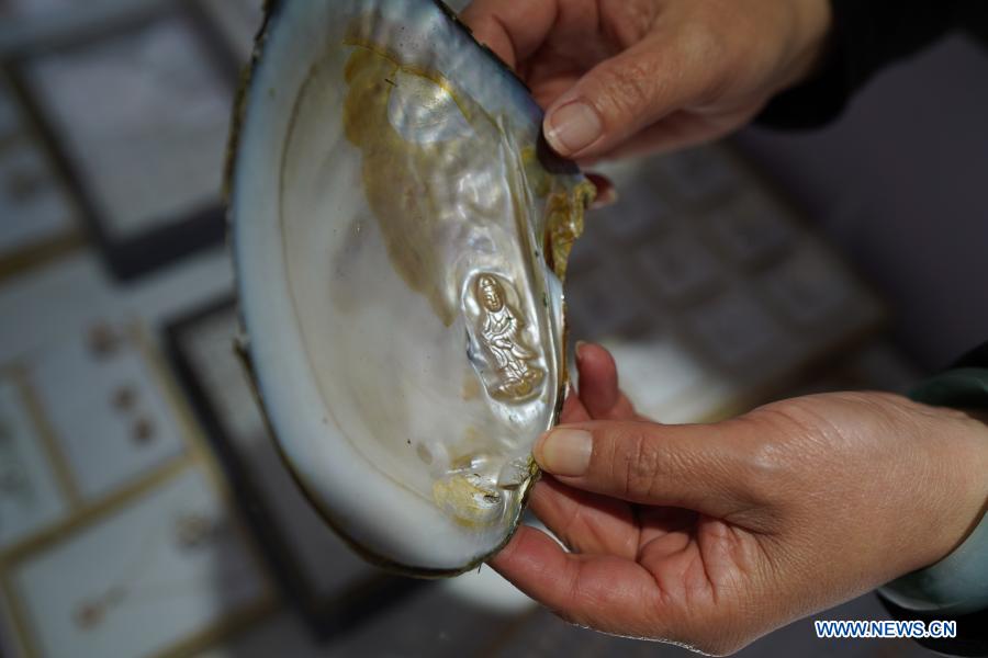 A worker shows a particular pearl in a mussel in a cultivation base in Tajiang Village of Wannian County, east China's Jiangxi Province, March 3, 2021. In Wannian County, there are about 3,000 women working in pearl cultivation industry. Many of them once lived in poor households, and took up their posts after free training. Nowadays, their per capita income has increased by 70,000 to 80,000 yuan (about 10,822 to 12,368 U.S. dollars) each year. (Xinhua/Zhou Mi)