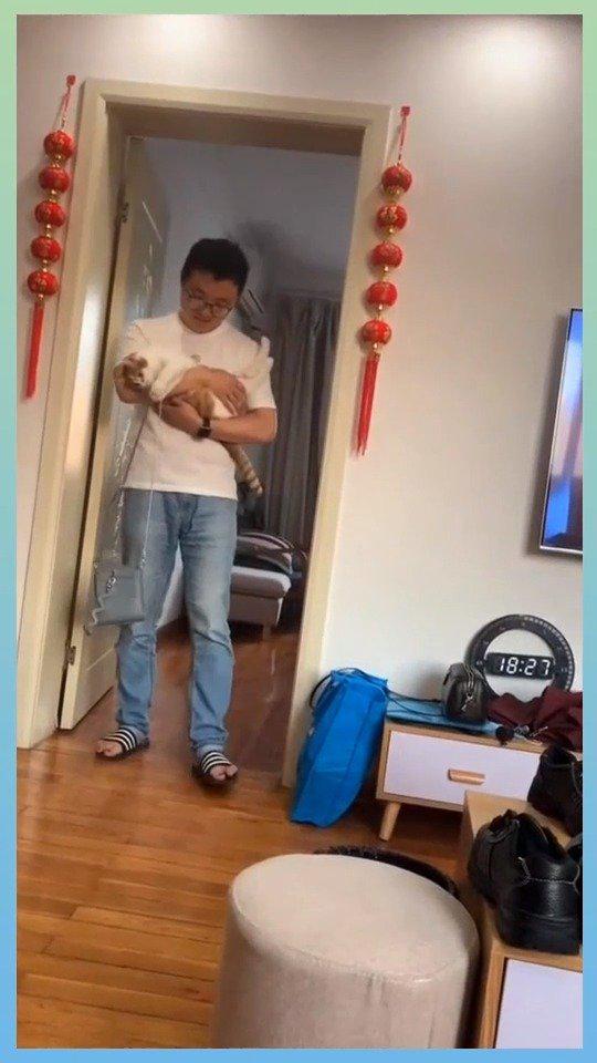 不要耽误孩子上清华系列，橘猫都是这么聪明的吗？太胖了！