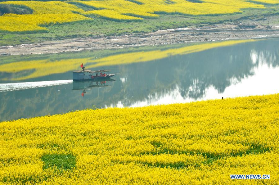 Photo taken on March 4, 2021 shows the early spring scenery of Diaolou Village in Guang'an, southwest China's Sichuan Province. (Photo by Zhang Qifu/Xinhua)