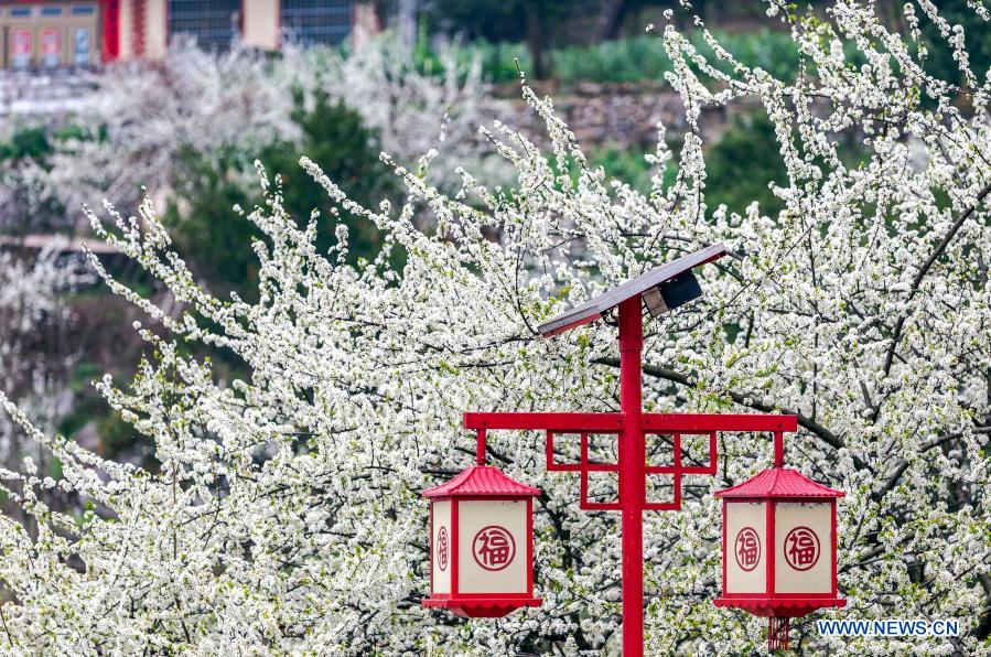 Photo taken on March 4, 2021 shows the early spring scenery of Qiulin Village in Bijie, southwest China's Guizhou Province. (Photo by Fan Hui/Xinhua)