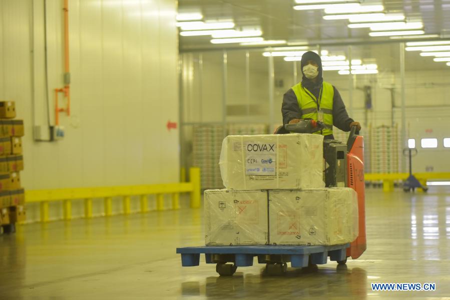 A ground crew member transports the COVID-19 vaccines from COVAX at Bole international airport in Addis Ababa, Ethiopia, March 7, 2021. Ethiopia on Sunday received its first 2.2 million COVID-19 vaccines from COVAX, crucial in the east African country's fight to stop the spread of the pandemic. (Photo by Michael Tewelde/Xinhua)
