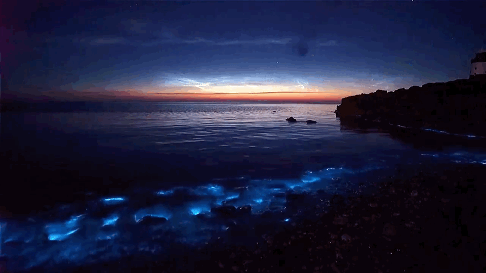 广西小岛现绝美“荧光海” 人少却美到尖叫