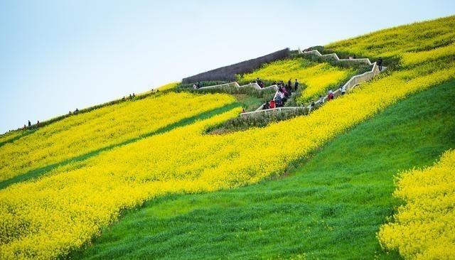 来汉中邂逅最美的春天,百万亩油菜花在这里开得正艳_旅游美食季_新浪博客
