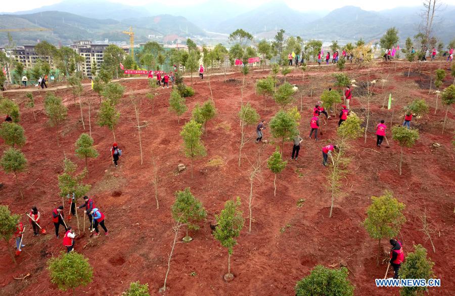 National Tree Planting Day marked in China China News SINA English