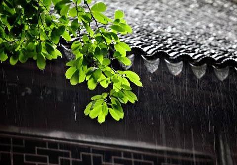 雨季湿气太重怎么办