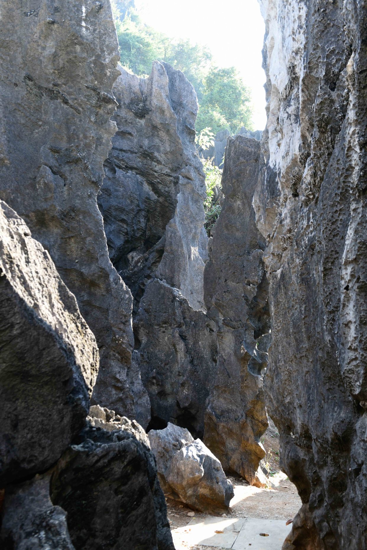 广东深处的小墨石公园，有超仙气的异石美景，你想去看吗？