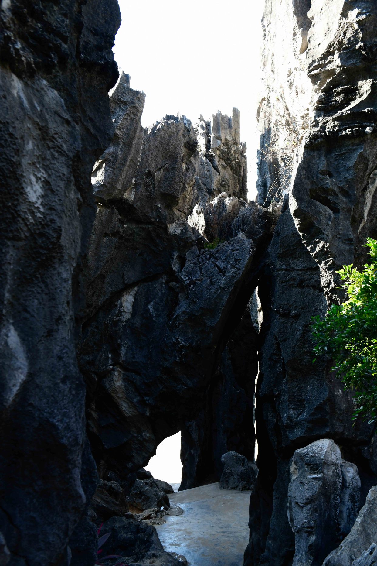 广东深处的小墨石公园，有超仙气的异石美景，你想去看吗？