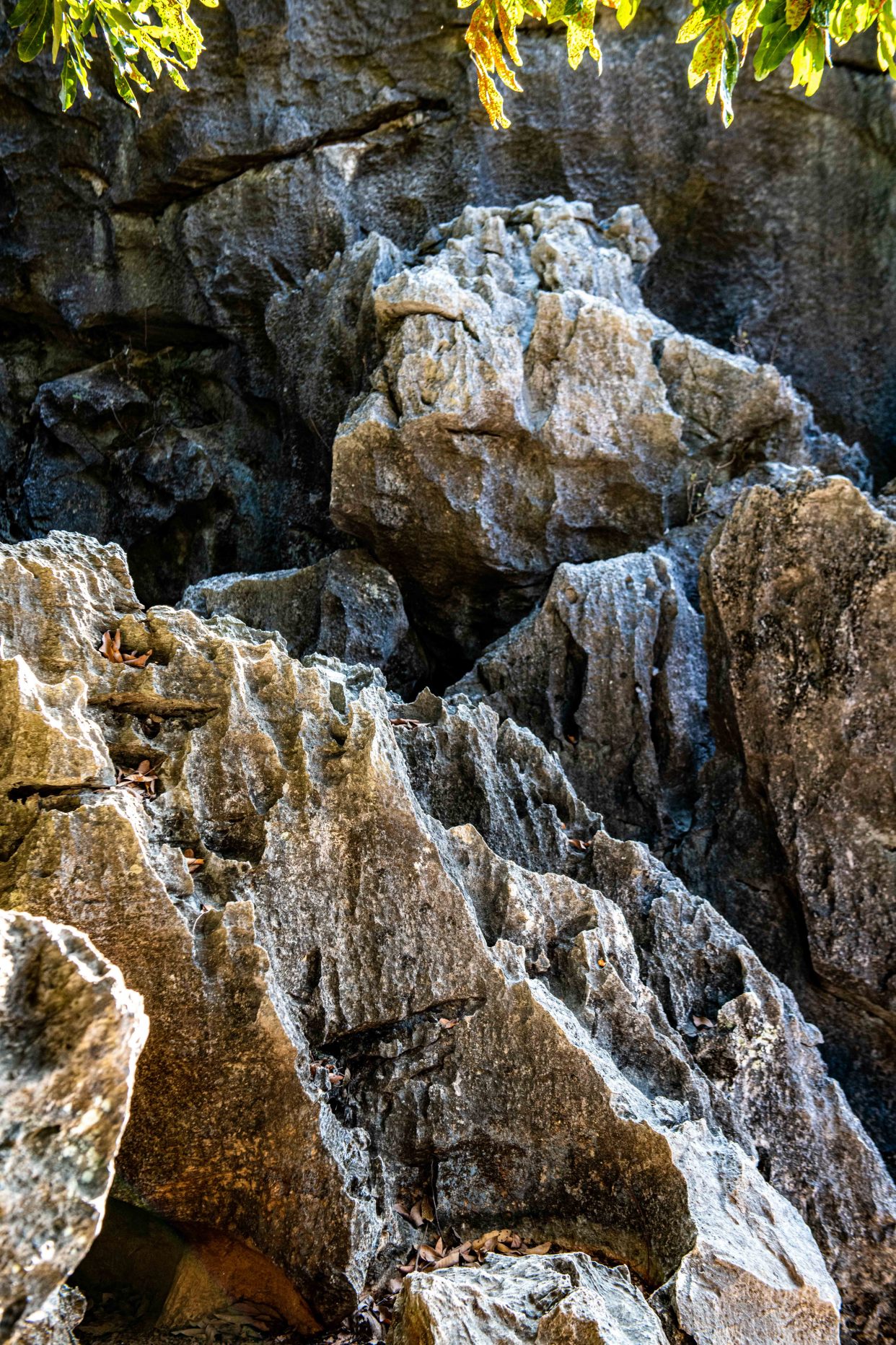 广东深处的小墨石公园，有超仙气的异石美景，你想去看吗？