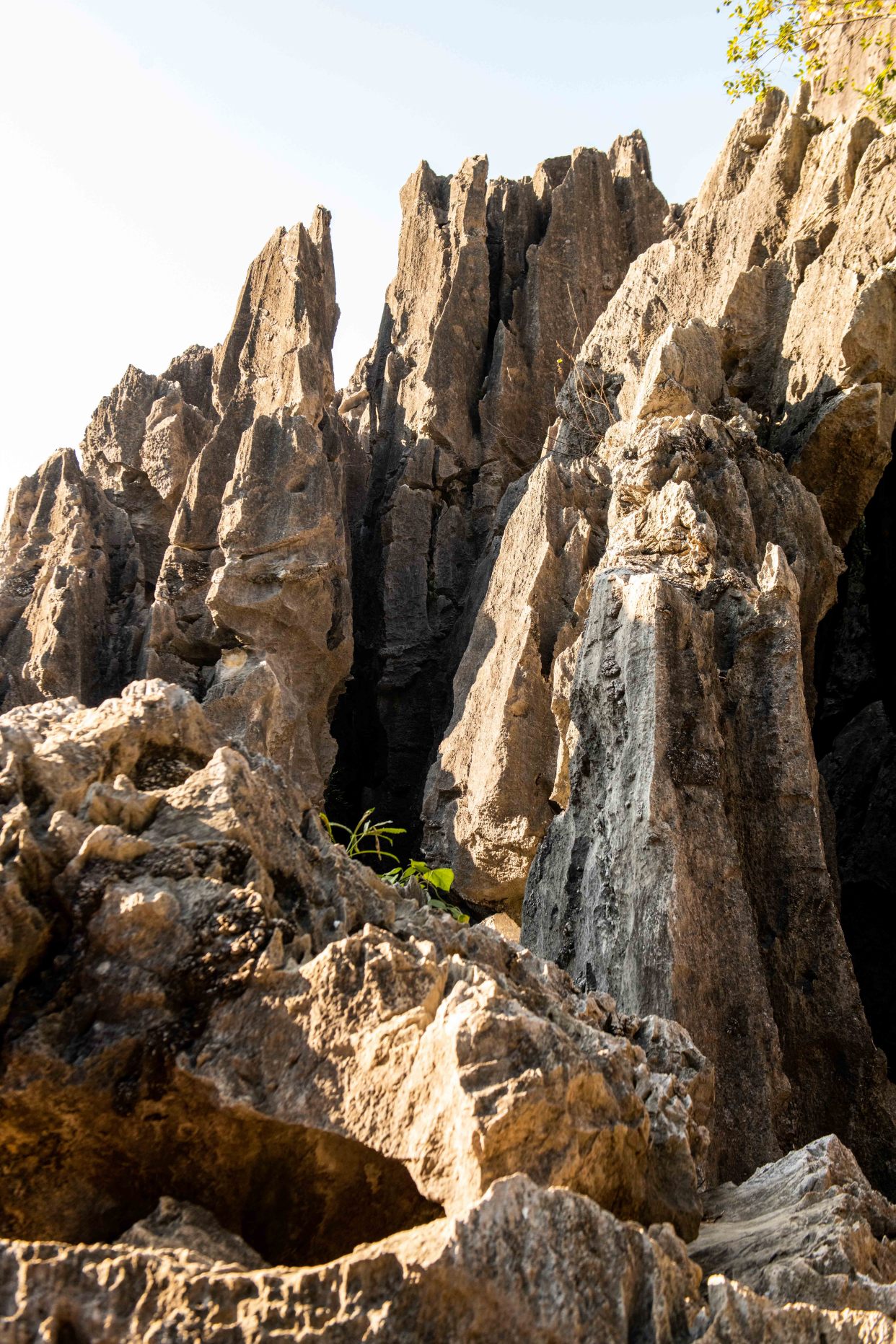 广东深处的小墨石公园，有超仙气的异石美景，你想去看吗？