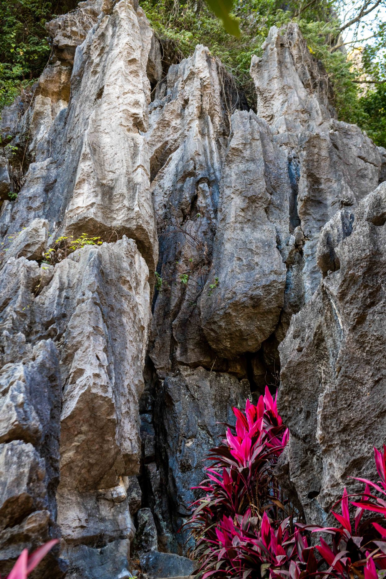 广东深处的小墨石公园，有超仙气的异石美景，你想去看吗？