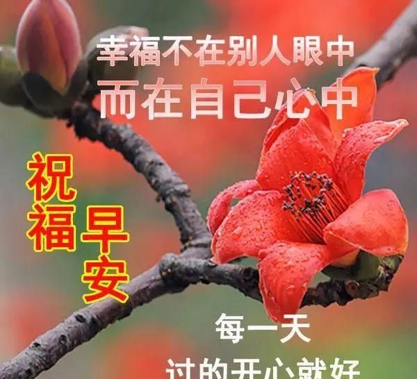春天最美鲜花早安图片带祝福语,漂亮春天问候祝福图片