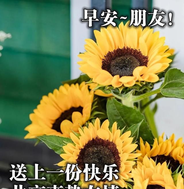 2021祝福图片唯美,2021致自己图片女生 2021早安问候唯美祝福图片,唯美早上好阳光暖心问候!