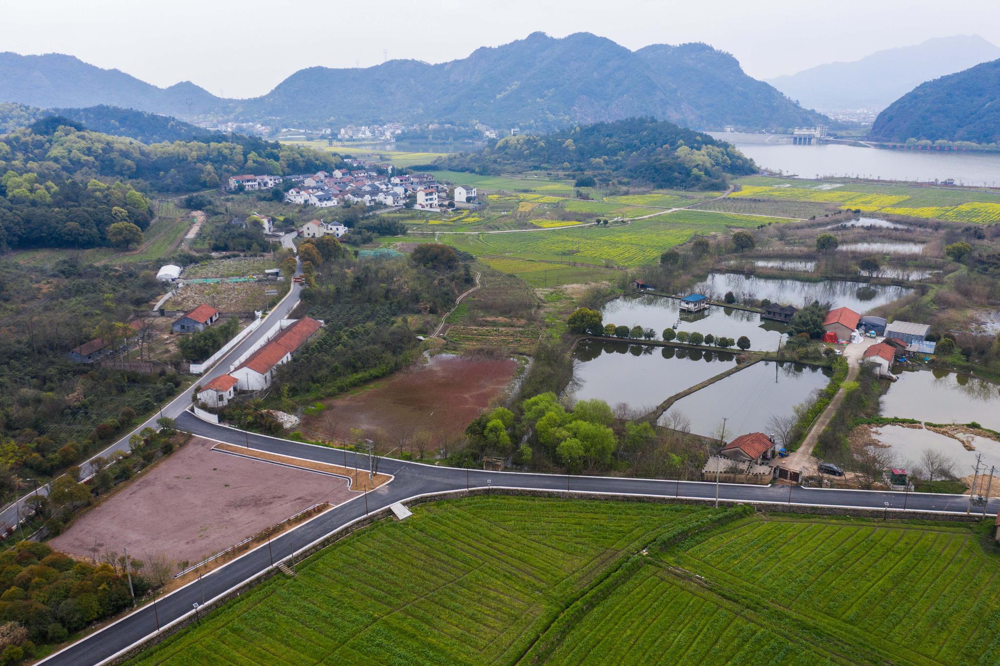 3月24日,春游的师生在诸暨市同山镇布谷湖的环湖路上观赏春色(无人