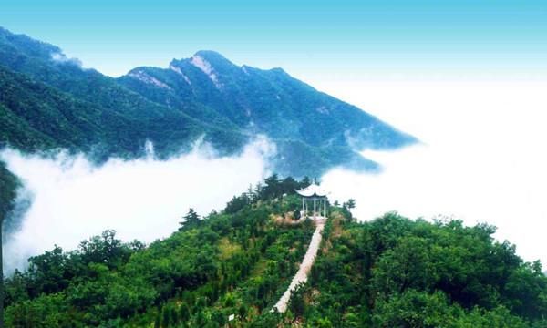 陈醋排行_重启老字号!顾桥陈醋再飘香!