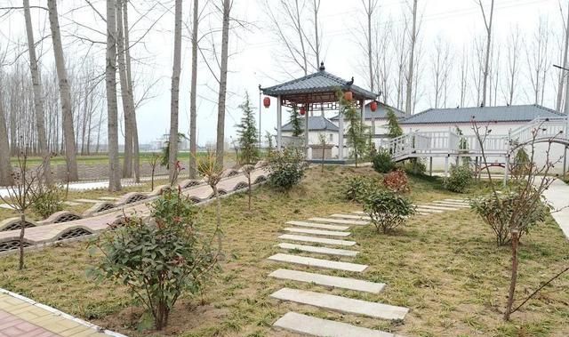 芦岗村人口_乡村振兴看长垣!芦岗乡小辛庄村
