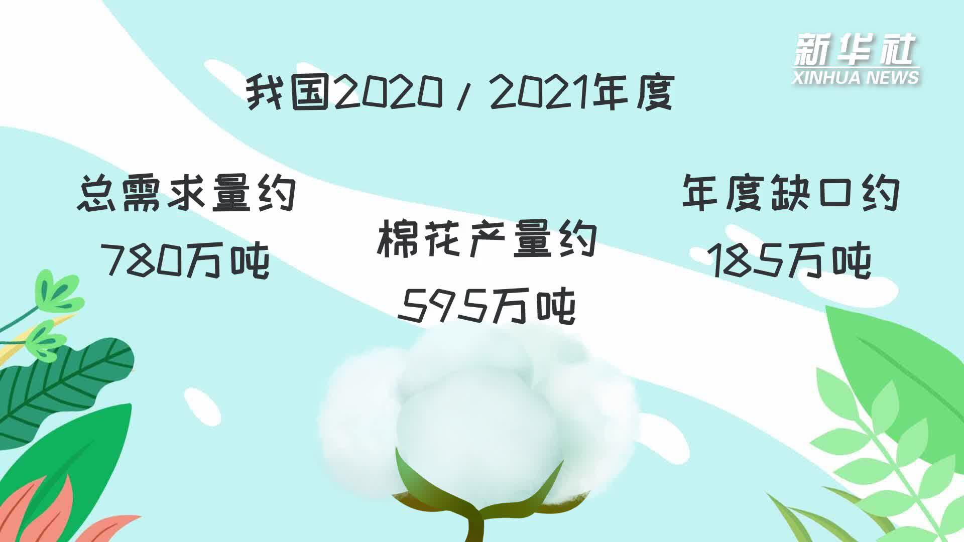 新华全媒|科画|关于新疆棉,你不知道的事