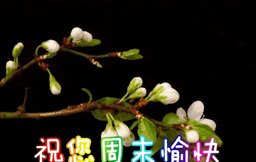 2021年3月28日星期天早上好问候祝福动态表情图片