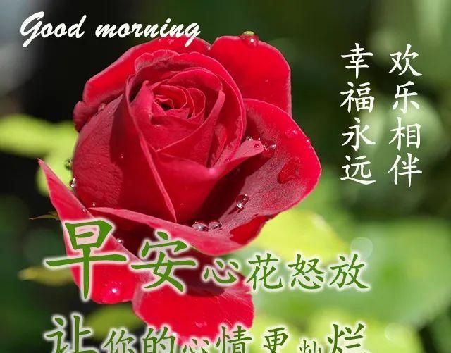 2021年3月28日星期天早上好问候祝福动态表情图片