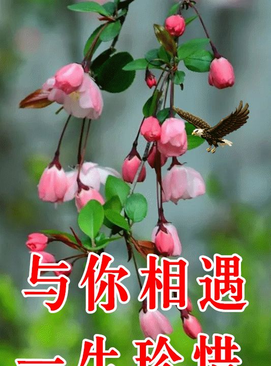 2021年3月28日星期天早上好问候祝福动态表情图片