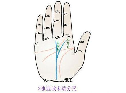 事业线末端分叉,一向木星丘,一向土星丘.