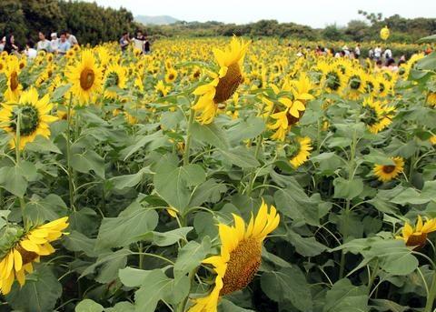 浦北属于哪个市