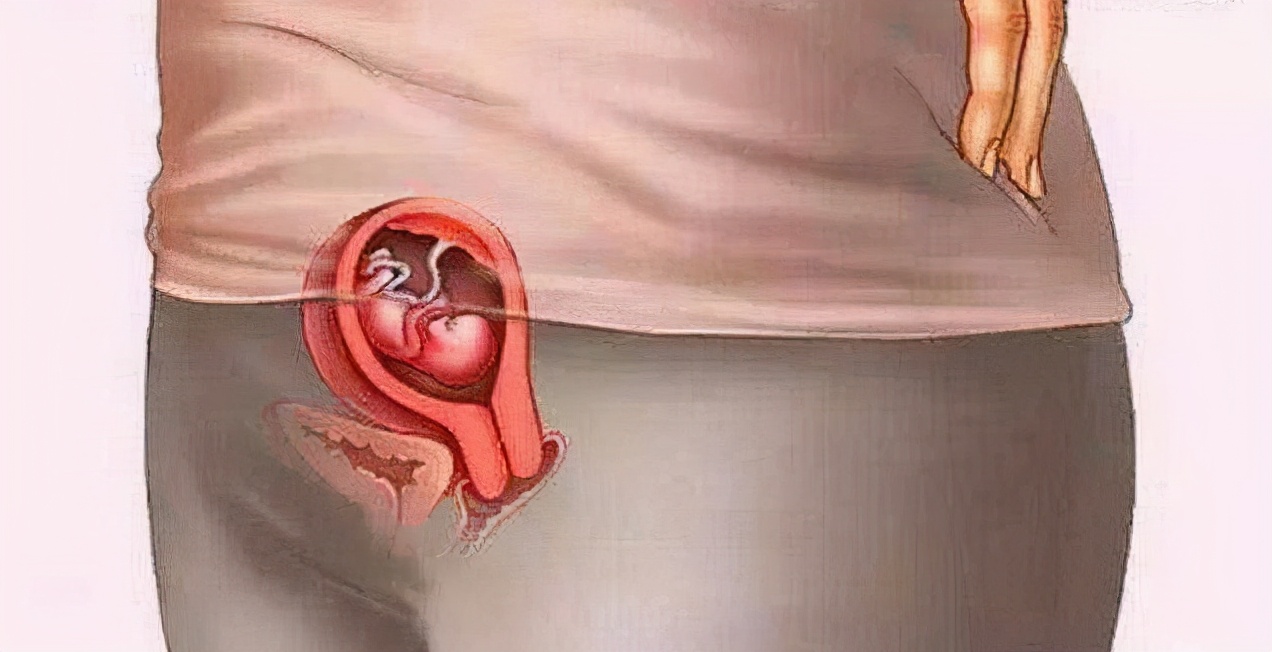 胎儿在妈妈腹中是如何成长的?一组高清图带你了解,娃的发育过程休闲区蓝鸢梦想 - Www.slyday.coM 胎儿在妈妈腹中是如何成长的?一组高清图带你了解,娃的发育过程休闲区蓝鸢梦想 - Www.slyday.coM