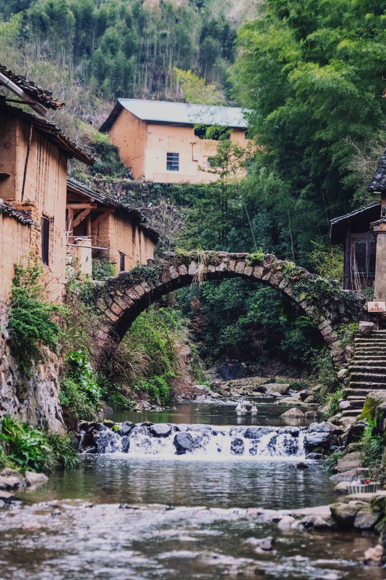 丽水松庄村隐藏在深山竹林处的世外桃源，美到让人窒息