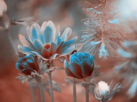 汽车蓄电池为什么会没电？没电了怎样才能快速启动车辆？