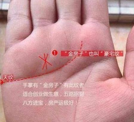星座看点>正文> 豪宅纹在无名指下方,感情线的上方,又称金房子.