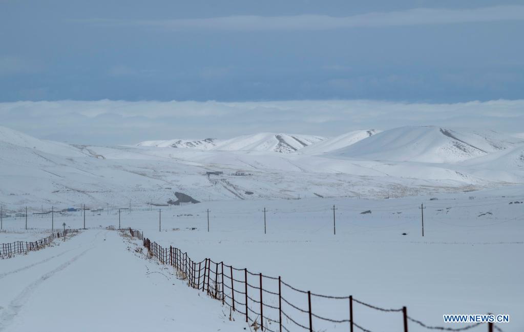 Photo shows the snow-covered grassland in Shawan City, northwest China's Xinjiang Uygur Autonomous Region, March 30, 2021. (Xinhua/Zhang Xiaocheng)