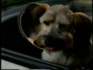 初代马自达MPV前期版市场宣传片，敢情这货居然是为遛狗而生的！