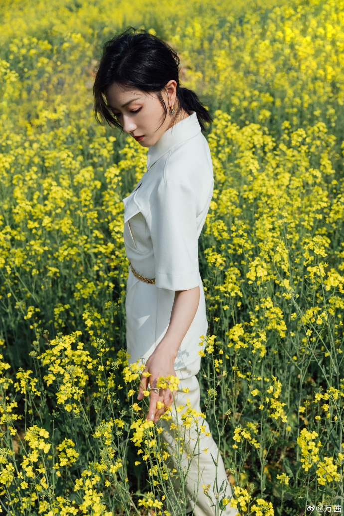 万茜转行包租婆？晒春日九宫格写真，网友开脑洞p图惹人爆笑