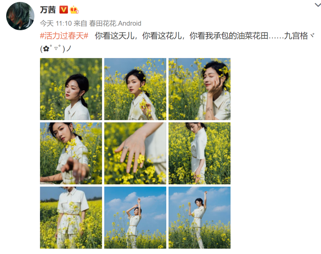 万茜转行包租婆？晒春日九宫格写真，网友开脑洞p图惹人爆笑