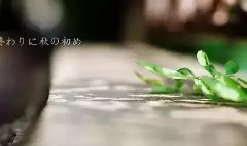 秋季汽车保养的5个重点