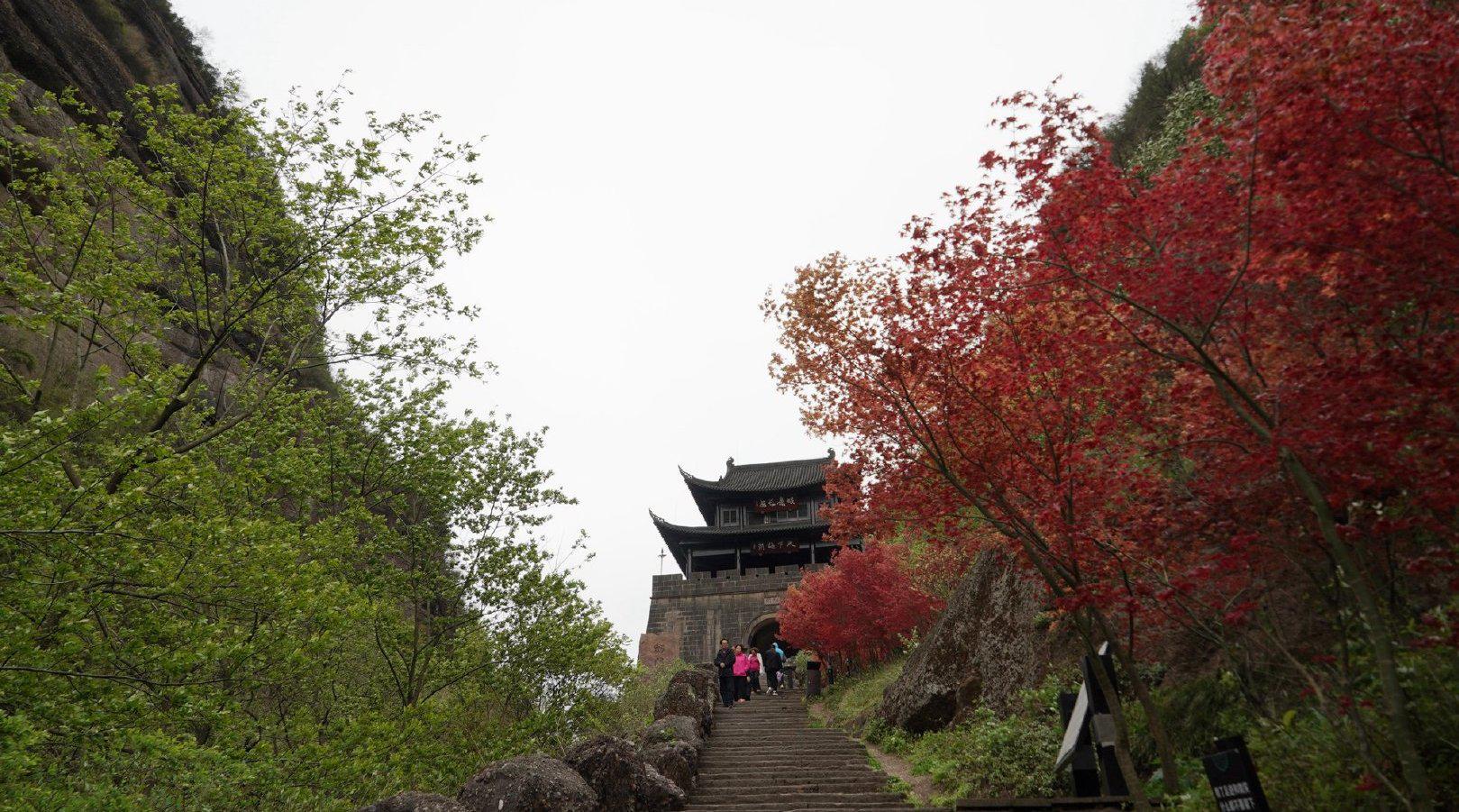 最近捷途出了一款新车名为“诸葛版”……