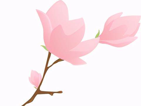 东营广饶车展火热进行中 为您“大放价”