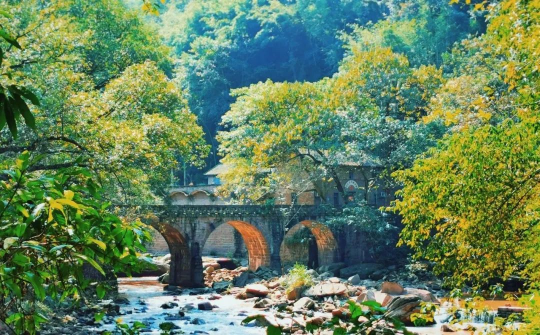 清明节去哪玩重庆这些地方值得去踏青