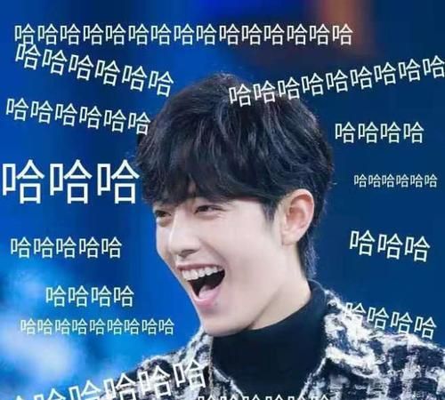 表情肖战表情包搞笑