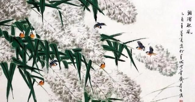 卫辉人难忘的护城河畔:芦花美的"不像话"!李时珍都专门说过!