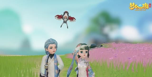 值得听-挂机方案qq托管挂机平台（万事娱乐平台）挂机论坛(2)