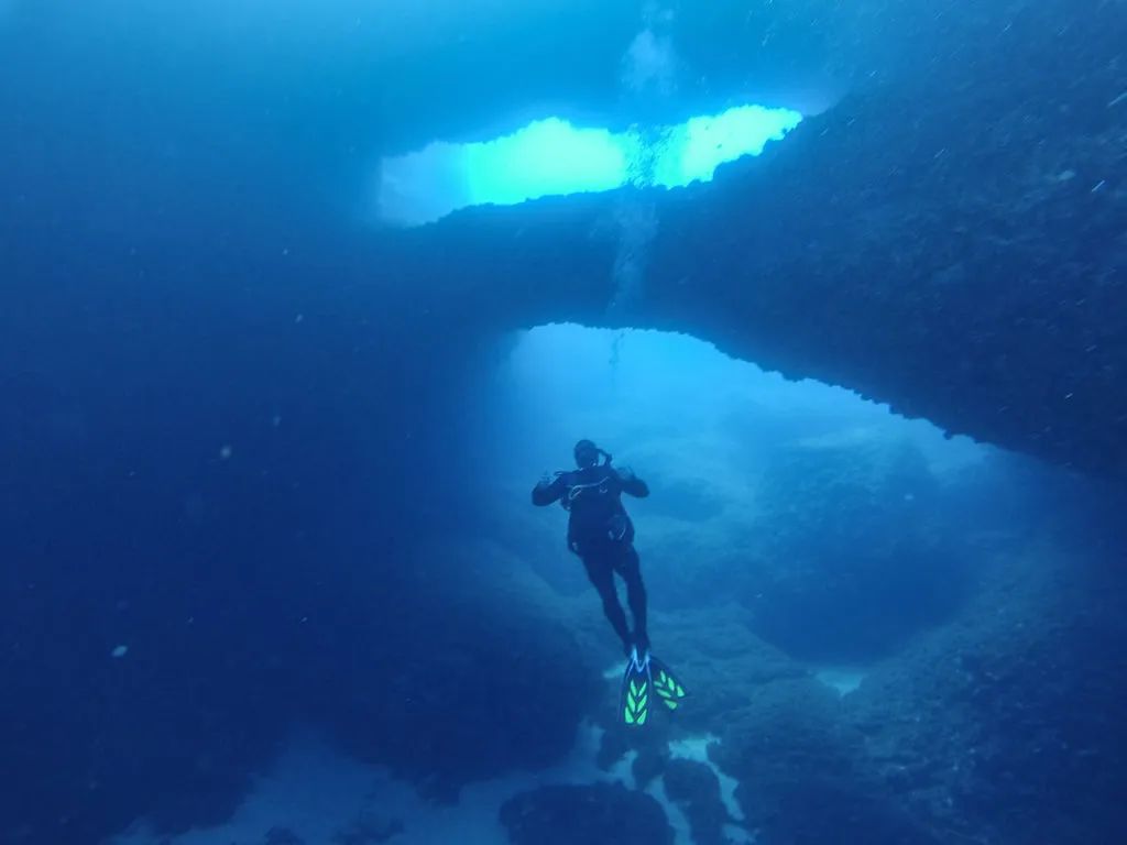 在印尼的科摩多群岛航行 给闺蜜的拍的百潜纪念照 🎂潜水届第一百瓶|大自然|科摩多|纪念照_新浪新闻