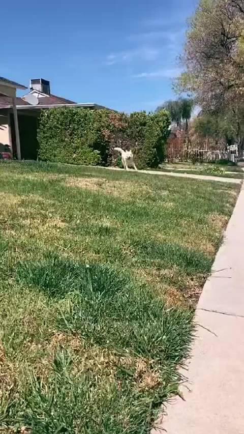 带他做个四轮定位吧！