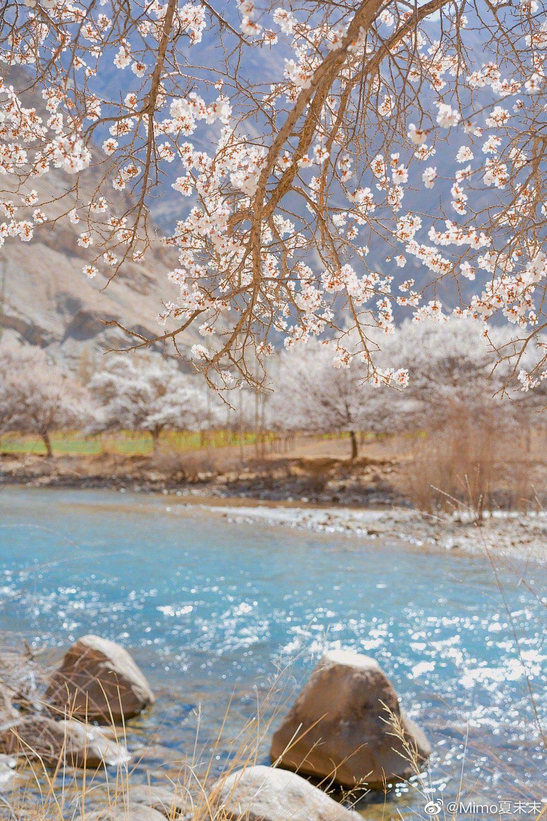 旅游记录：新疆 · 阿克陶县 · 布伦口沙湖与喀拉库里湖-中关村在线摄影论坛