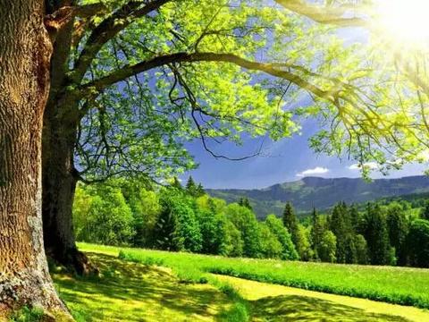 夏季汽车保养及用车技巧，趴窝是小事，说不定会要命！